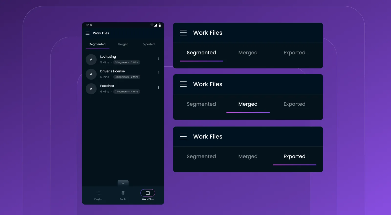 The Work Files screen with Segmented, Merged and Exported tabs
